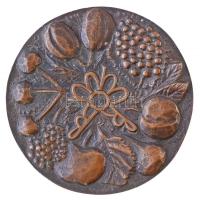 1983. "Mohácsy Mátyás - Kertbarát Klub Orosháza" kétoldalas, Br plakett (97mm) T:2 kis pat...