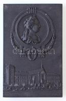 Ausztria ~1900. "Császári és Királyi Theresianum Katonai Akadémia" Zn plakett. Szign.: J. ...