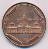 Lapis András (1942-) 1983. "100 éve épült újjá a szegedi Tanácsháza / A régi városháza" Br...