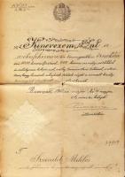 1913 Irnoki kinevezés a pénzügyminisztériumtól (szakadások)