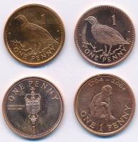 Gibraltár 1996-2005. 1p (4xklf) T:1,1- (PP) Gibraltar 1996-2005. 1 Penny (4xdiff) C:UNC,AU (PP)