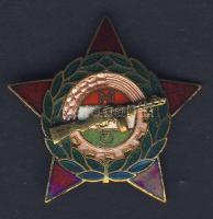 1979. Munkásőr kitüntetés, eredeti tokban, adományozó oklevéllel T:2