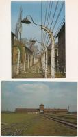 7 db MODERN használatlan képeslap: Auschwitz-Birkenau koncentrációs tábor / 7 modern unused postcards: Auschwitz concentration camp
