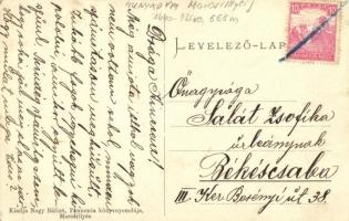 1917 Marosillye, Ilia; Járási székház. Nagy Bálint kiadása / county hall (EK)