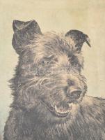 Jelzés nélkül: Kutya portré. Színes rézkarc, papír, üvegezett keretben. 21x16 cm