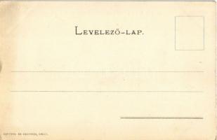 I.l. osztályú 701. pályaszámú  gőzmozdonya. Magyar Királyi Államvasutak Gépgyára Budapesten, Czettel...