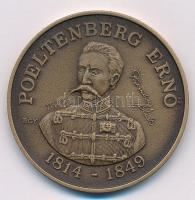 Bognár György (1944-) 1989. "MÉE Gyöngyösi Csoport - Aradi Vértanúk / Poeltenberg Ernő" Br...