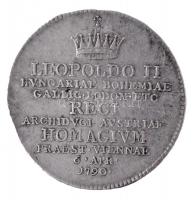 Habsburg Birodalom 1790. "Az alsó-ausztriai birtokosok bécsi hűségesküje II. Lipótnak " Ag...