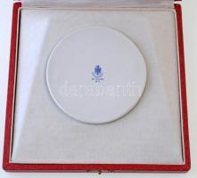 ~1950-1960. "Kilián György Repülő Műszaki Főiskola" festett, hátoldalán jelzett Hollóházi ...