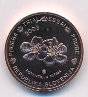 Szlovénia 2003. 2c próbaveret T:1 Slovenia 2003. 2 Cents trial strike C:UNC