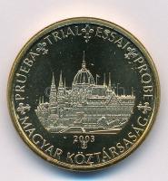 Magyarország 2003. 10c Parlament próbaveret T:1 patina Hungary 2003. 10 cents Parliament trial strike C:UNC patina