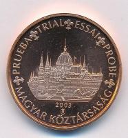 Magyarország 2003. 5c Parlament próbaveret T:1 fo. patina Hungary 2003. 5 cents Parliament trial strike C:UNC spotted patina