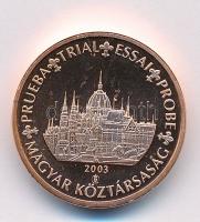 Magyarország 2003. 1c Parlament próbaveret T:1- fo. Hungary 2003. 1 cent Parliament trial strike C:AU spotted
