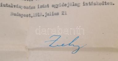 1918 Bp., Gróf Zichy János (1868-1944) vallás- és közoktatásügy miniszter aláírása kinevező okmányon