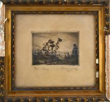 Azonosítatlan jelzéssel: Őszi alkony. Rézkarc, papír, Jelzett. 8x10 cm Üvegezett keretben