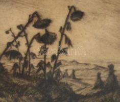 Azonosítatlan jelzéssel: Őszi alkony. Rézkarc, papír, Jelzett. 8x10 cm Üvegezett keretben