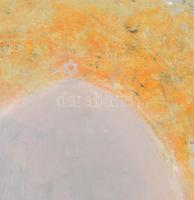 Varga József Zsolt (1974-): Várakozás napnyugtakor. Olaj, farost, jelzett, keretben, 50×65 cm