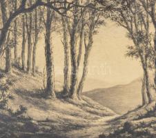 Paulovits Pál (1892-1975): Hegyvidéki táj. Rézkarc, papír, jelzett, üvegezett keretben, 23×29 cm