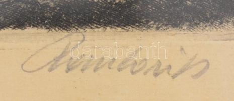 Paulovits Pál (1892-1975): Hegyvidéki táj. Rézkarc, papír, jelzett, üvegezett keretben, 23×29 cm