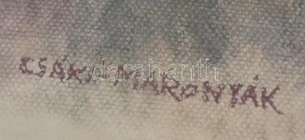 Csáki-Maronyák József (1910-2002): Rákosi Mátyás. Pasztell, papír, jelzett, üvegezett keretben, 48×3...