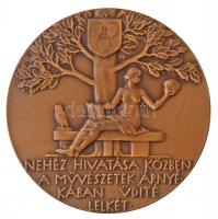 Beck Ötvös Fülöp (1873-1945) 1934. "Dr. Tóth István" Br emlékérem. "TÓTH ISTVÁN DR. E...