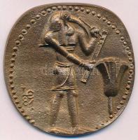 Ligeti Erika (1934-) 1981. "Nemzetközi Gyógyszerésztörténeti Kongresszus" Br emlékérem (~5...