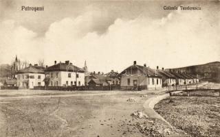 Petrozsány Colony Teodorescu