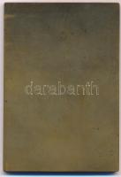 Róna József (1861-1939) 1911. "Országos Magyar Képzőművészeti Társulat" Br plakett (60x88m...