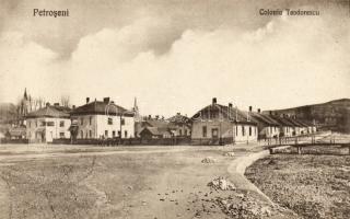 Petrozsány Colony Teodorescu