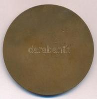 Beck Ö. Fülöp (1873-1945) 1938. "Dr Ferenczi Izsónak baráti emlékül" egyoldalas Br emlékér...