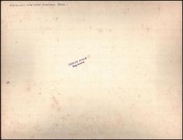 cca 1890-1900 Éder Pál (1849-1916) a soproni cs. és kir. báró Salis-Soglio Gyalogezred főhadnagya és...