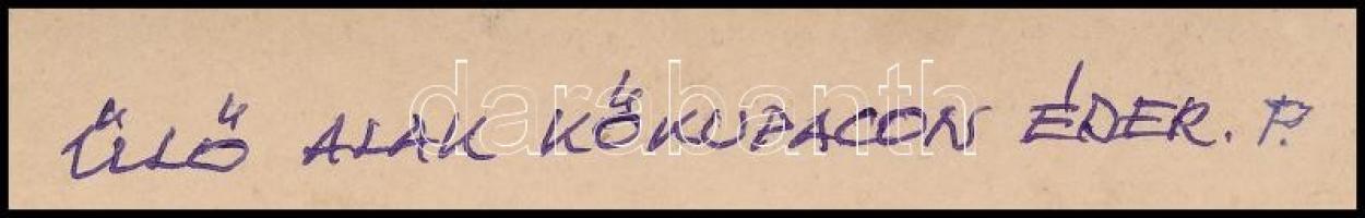 cca 1900 Éder Pál (1849-1916) a soproni cs. és kir. báró Salis-Soglio Gyalogezred tisztje (századosa...