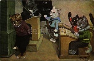 Cat class. T.S.N. Serie 1879. s: Arthur Thiele
