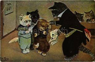 Cat class. T.S.N. Serie 1879. s: Arthur Thiele (EK)