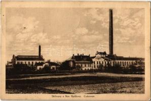 1925 Skrivany u. Novy Bydzov, Neubidschow; Cukrovar / sugar factory (EK)