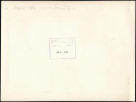 1941 Újpesti Ganz hajógyár az Ungvár hajó vízre bocsájtása. Pecséttel jelzett fotó 24x18 cm