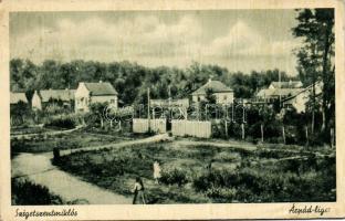 Szigetszentmiklós Árpád-liget