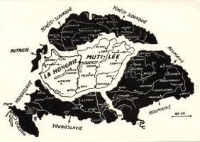 Borszék bear-hunters Photo