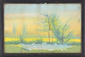Olvashatatlan jelzéssel: Vízparti táj, akvarell, papír, üvegezett fa keretben, 18x28 cm