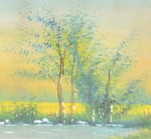 Olvashatatlan jelzéssel: Vízparti táj, akvarell, papír, üvegezett fa keretben, 18x28 cm