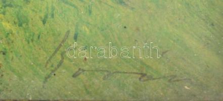 Olvashatatlan jelzéssel: Vízparti táj, akvarell, papír, üvegezett fa keretben, 18x28 cm