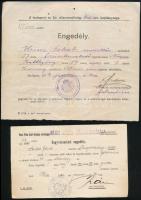 1919-20 2 db fegyvertartási engedély