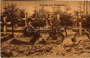 Hősök sírja Zwyczynnél / WWI K.u.K. military heroes cemetery near Zwyczyn (EK)