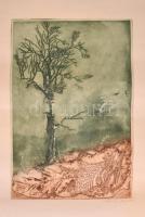 Almássy Aladár (1946-): Magányos fa. Színes rézkarc, papír, jelzett, felcsavarva, 38×26 cm