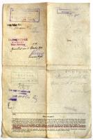 1918 A megszállt Bukarestben kiállított útlevél / Passport issued by the occupying authorities of Bu...