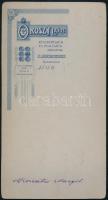 1908 Keresztes Margit műtermi portréja, keményhátú fotó Oroszy nagybecskereki műterméből, 11×20 cm