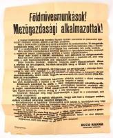 1918 Az Őszirózsás forradalom földművelésügyi miniszterének hirdetménye a parasztsághoz, melyben a munka felvételére hív fel. 50x62 cm