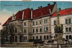 1914 Magyaróvár, Mosonmagyaróvár; Vármegyeház, Szentháromság szobor, lovasszekér, Vendéglő a Fekete Sashoz, szálloda (r)