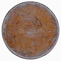 ~1930. "Magyar Királyi Légügyi Hivatal Kirendeltség Emlékül" Br emlékérem nagymintája (202...