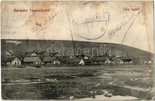 1914 Tápiósüly (Sülysáp), Liba legelő. Péter József kiadása (EK)